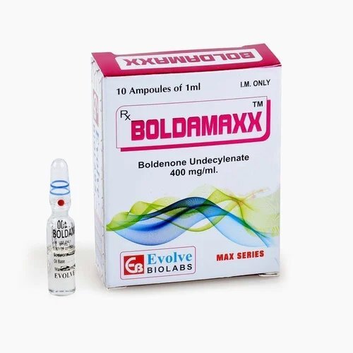 Boldamaxx